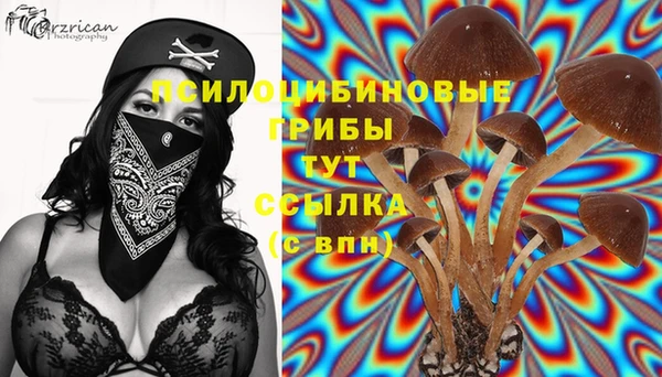 эйфоретик Лабытнанги