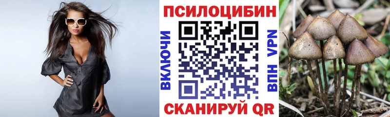 Галлюциногенные грибы Magic Shrooms  наркота  Новочебоксарск 