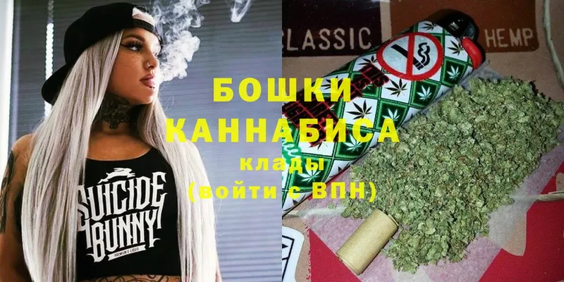 Бошки марихуана White Widow  Новочебоксарск 